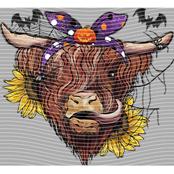 Cow-NIU 2536